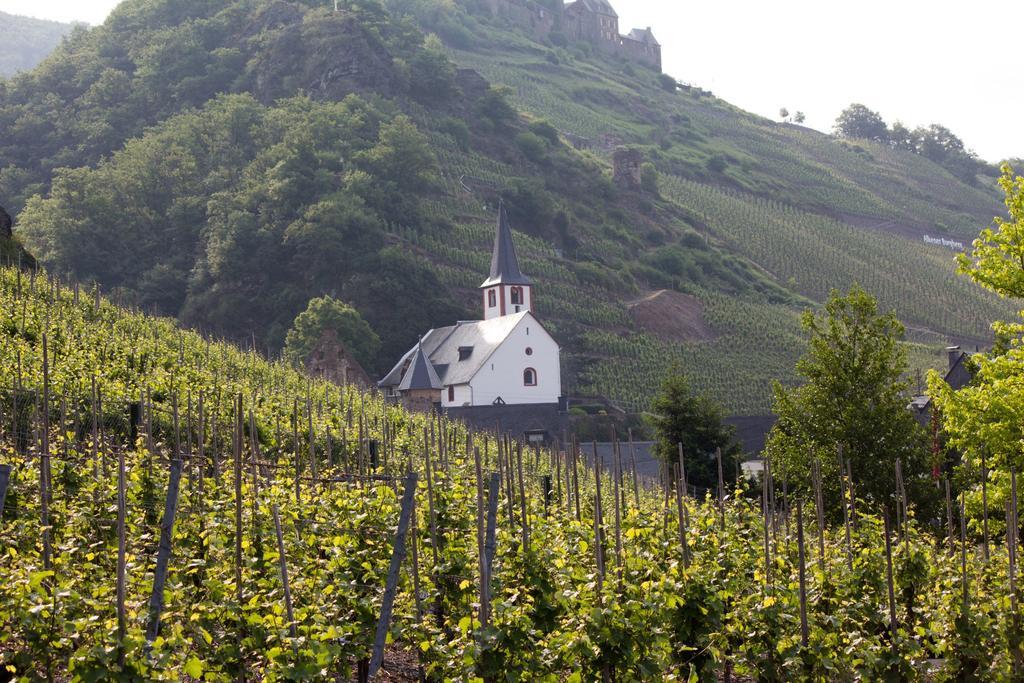 Winzerhof Brachtendorf Alken