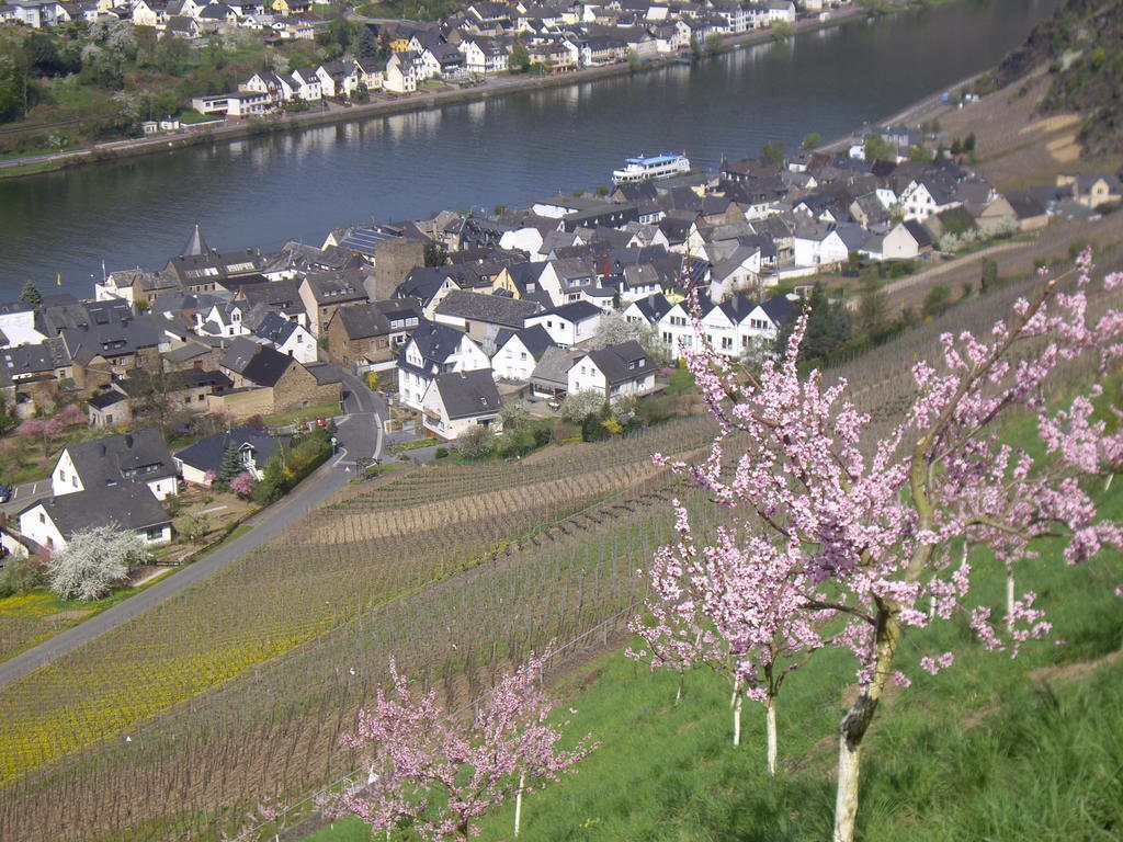 Отель Winzerhof Brachtendorf
